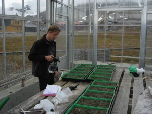 Bas is spraying the grasses